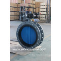 OEM Double Flange Butterfly Valve with Painting Disc